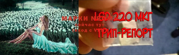 дмт Алзамай