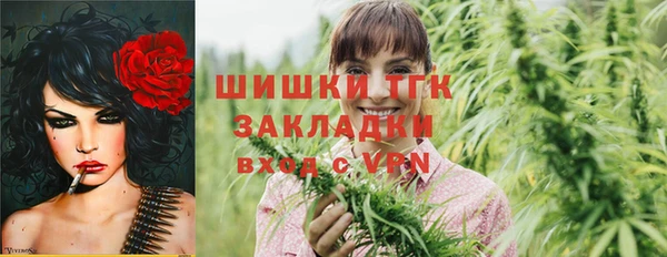 PSILOCYBIN Алексеевка