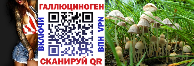 Галлюциногенные грибы прущие грибы  продажа наркотиков  Перевоз 